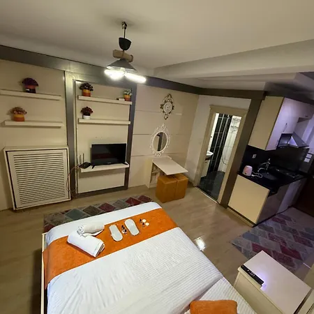 Taksim Premium Gold فندق